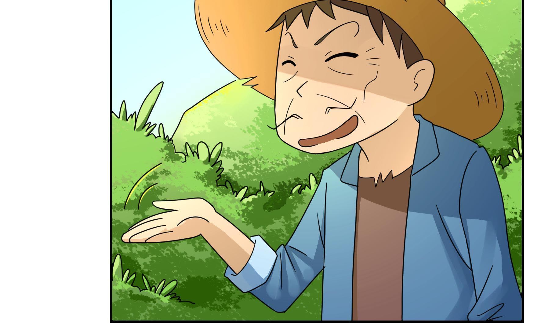 51