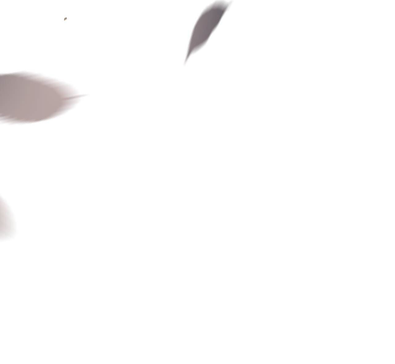 74