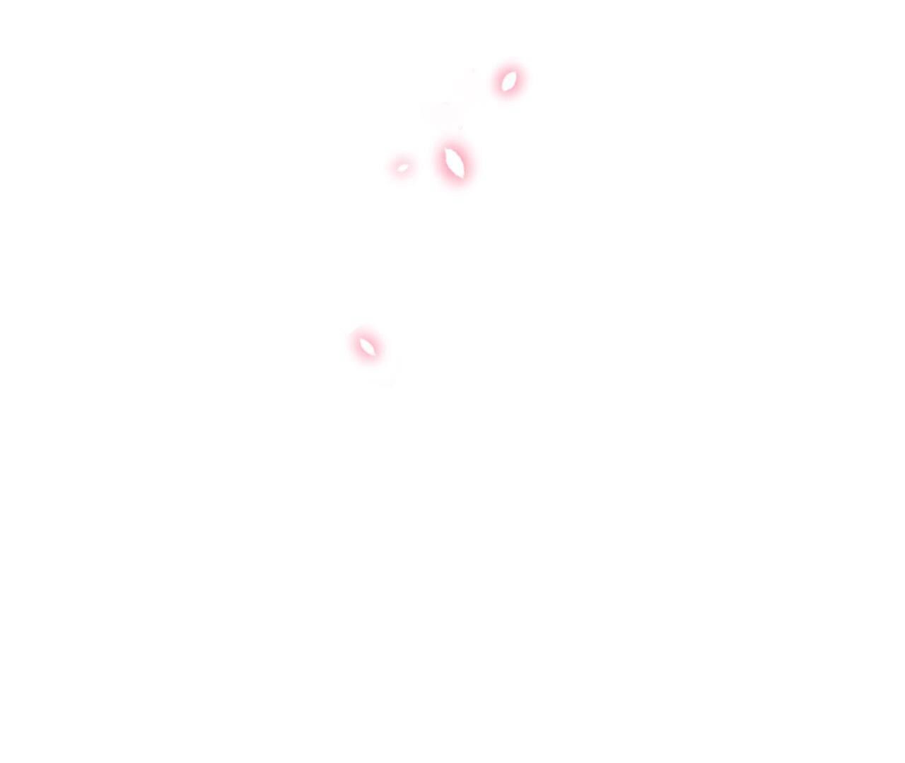 81