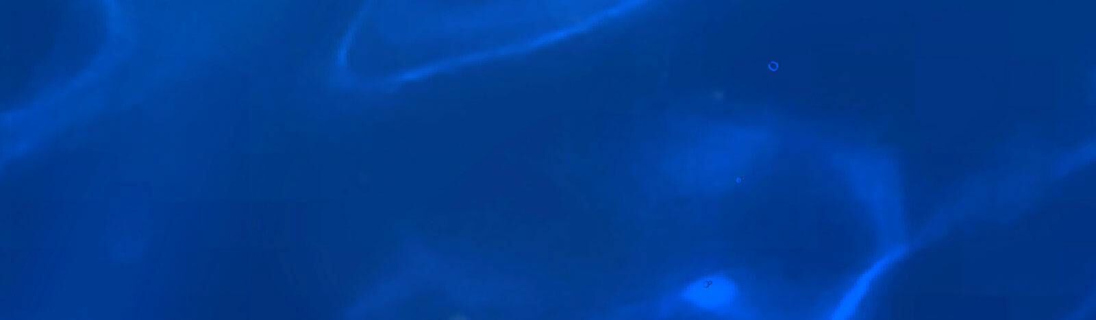 115