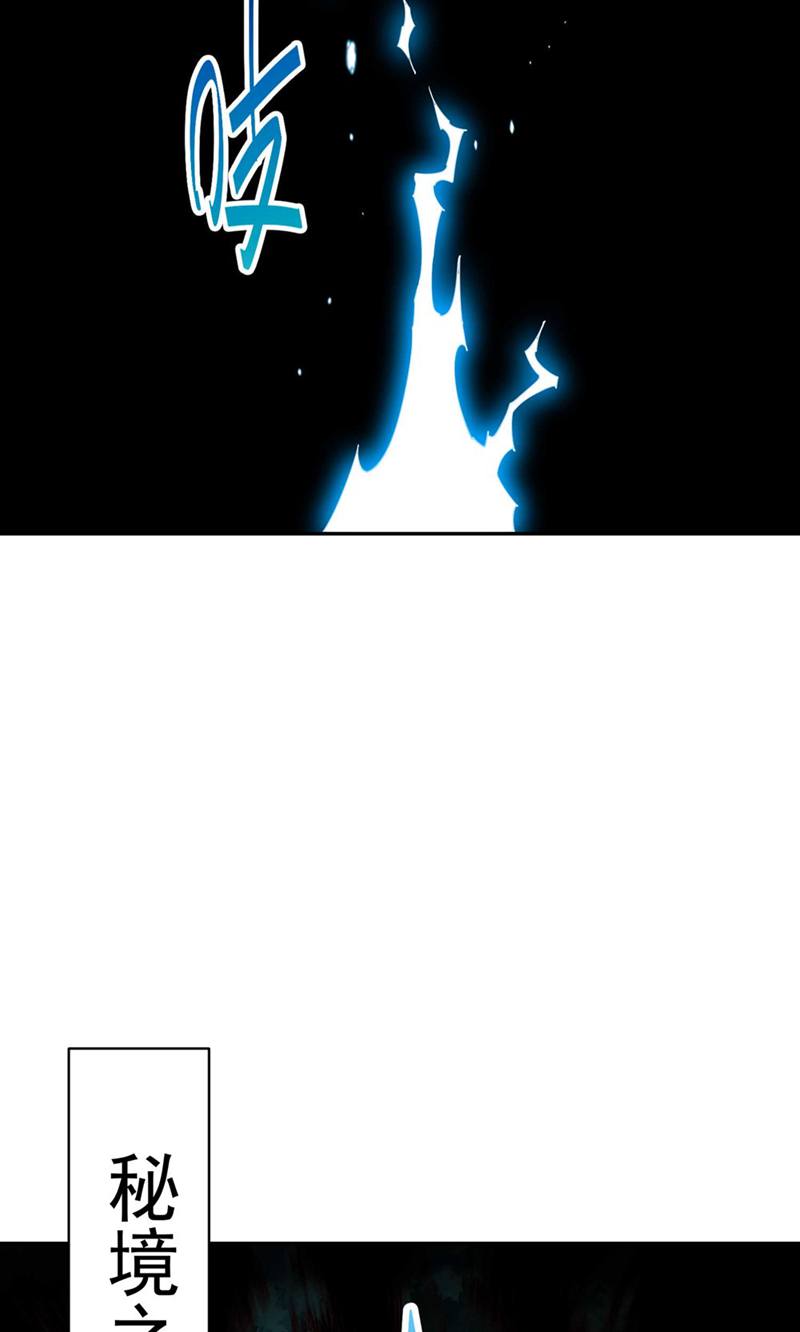 81
