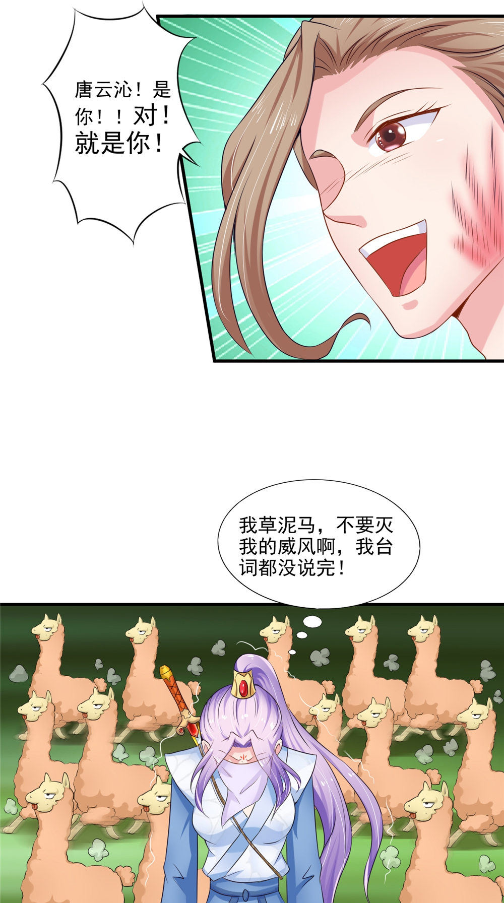 4.jpg