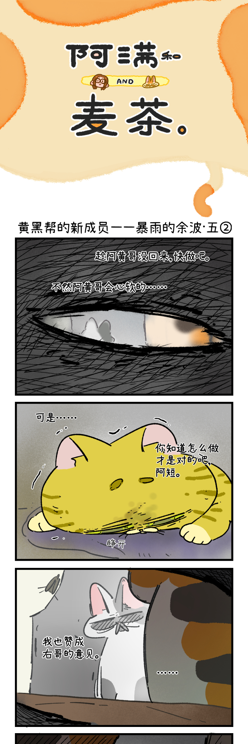15.jpg