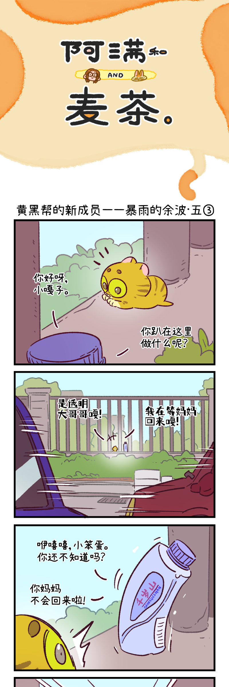 17.jpg