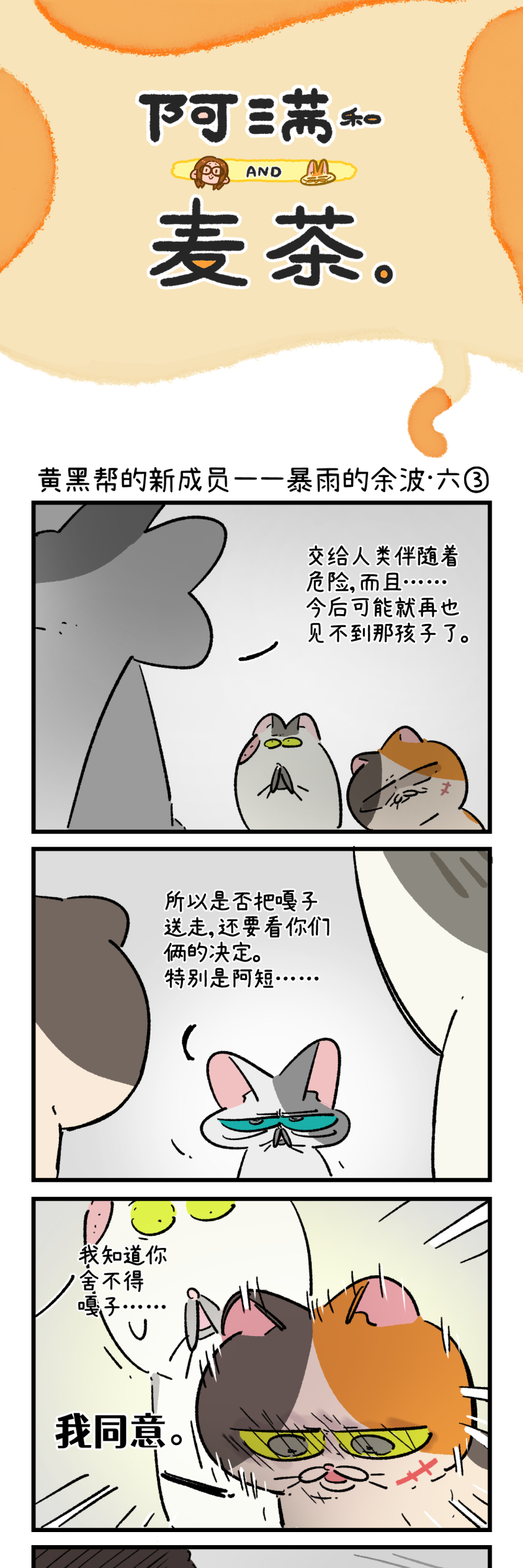 29.jpg