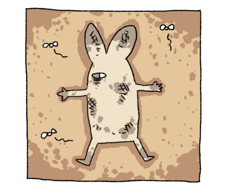 18