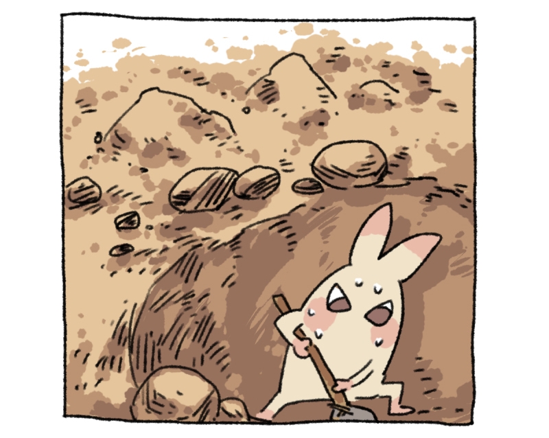 24