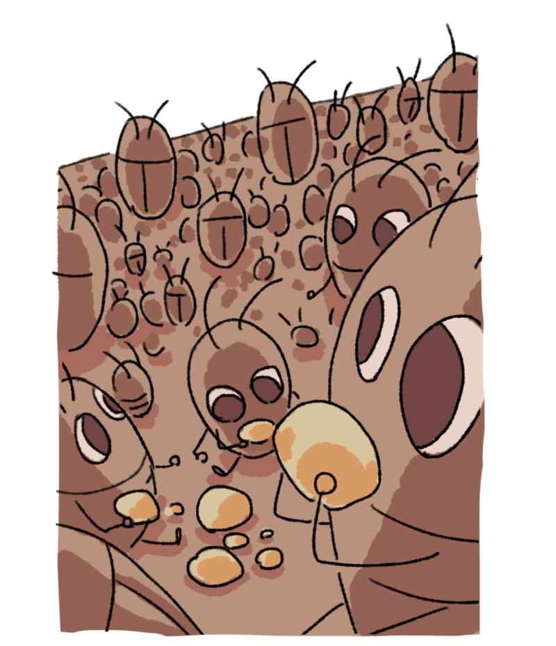 28