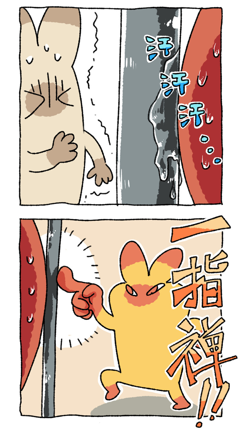 24