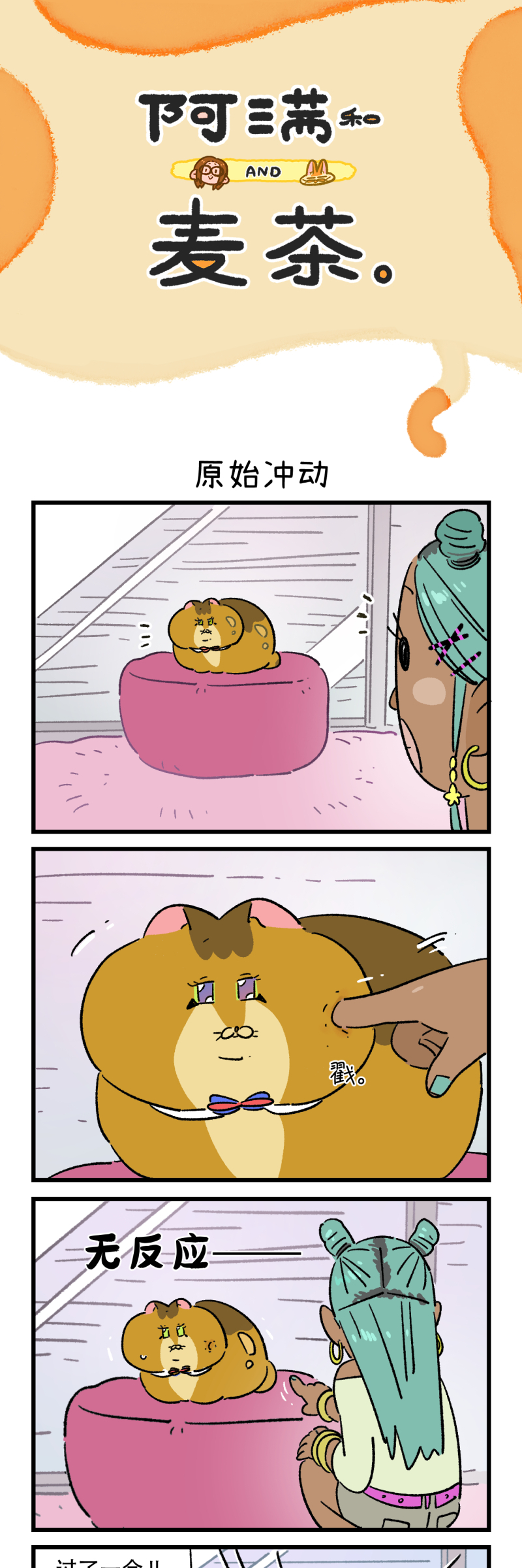 5.jpg