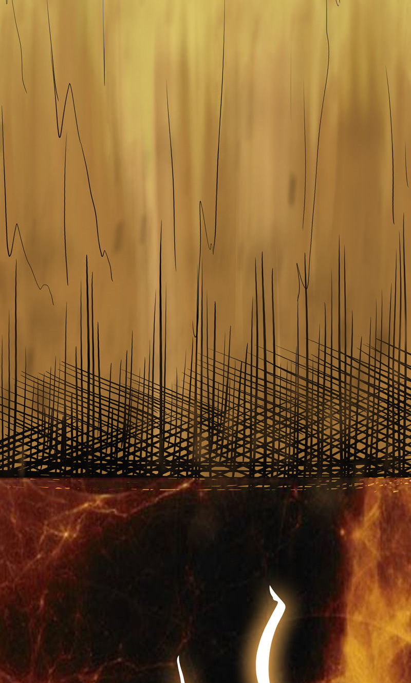 31
