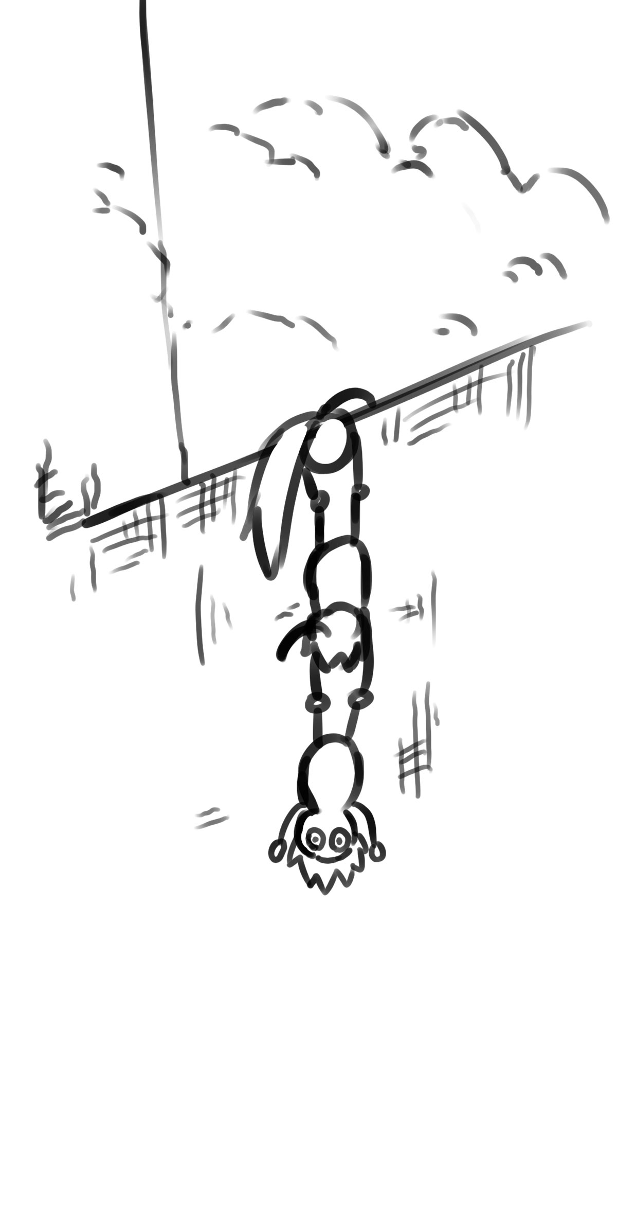 28