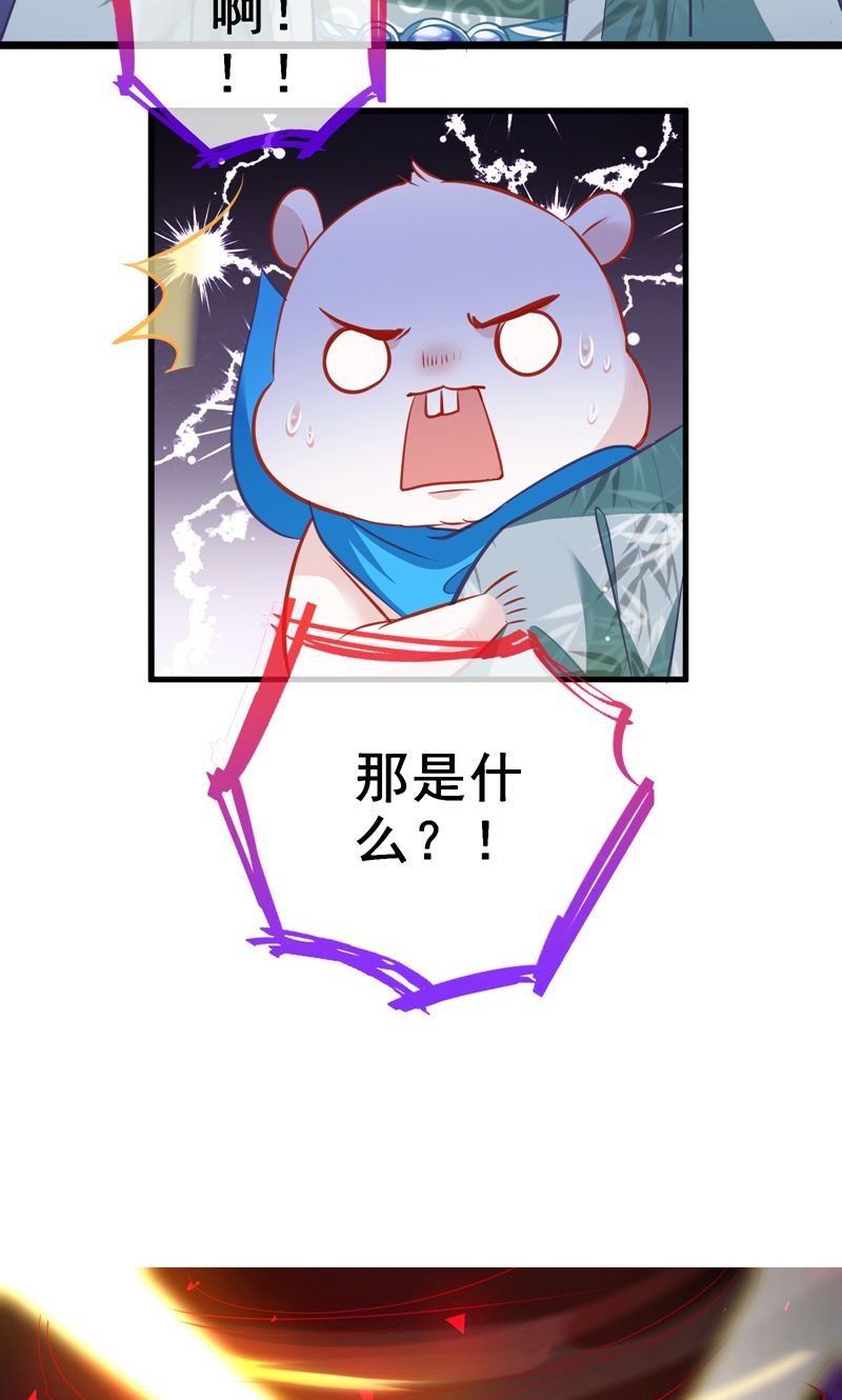 61.jpg