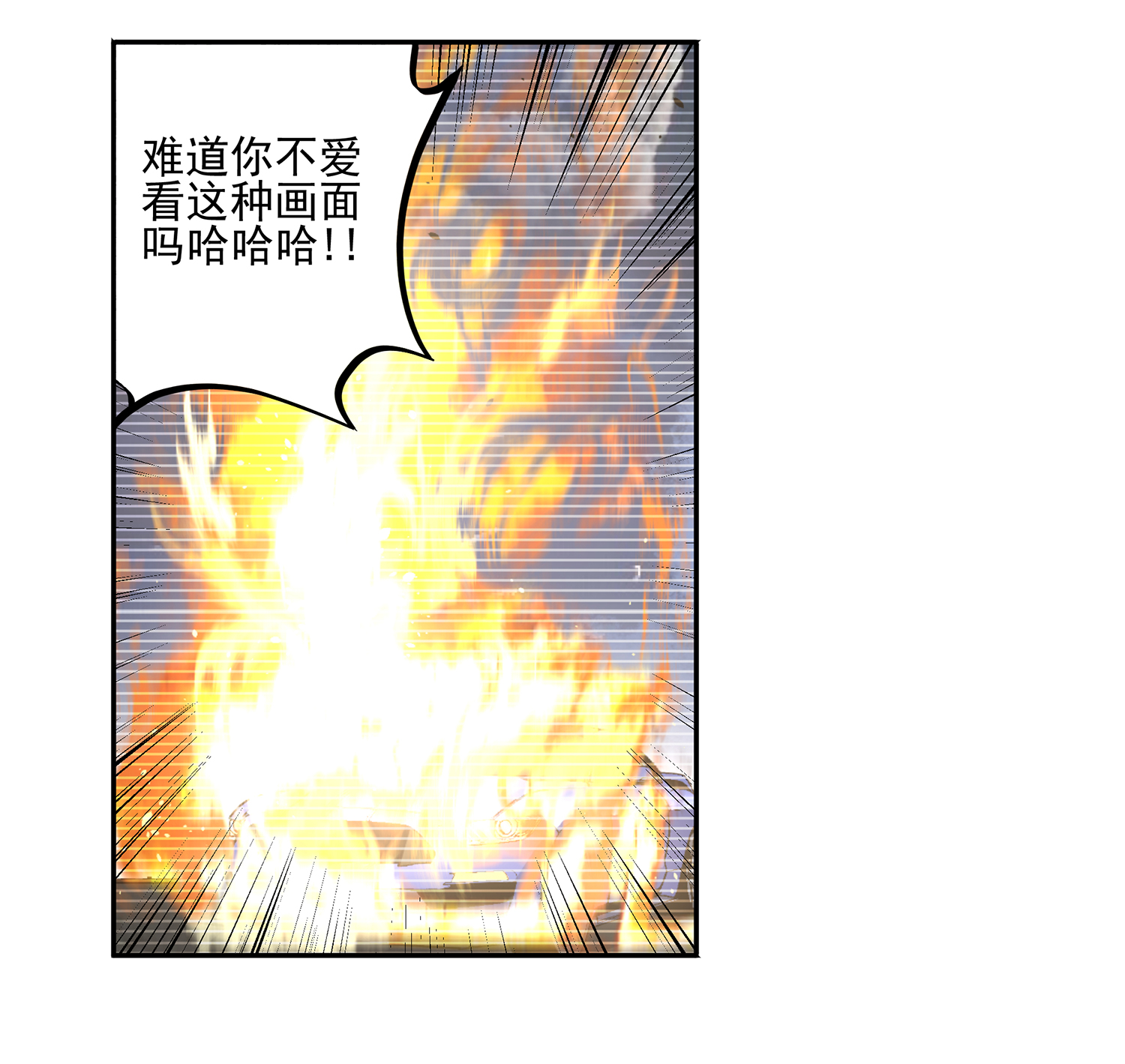 31.jpg
