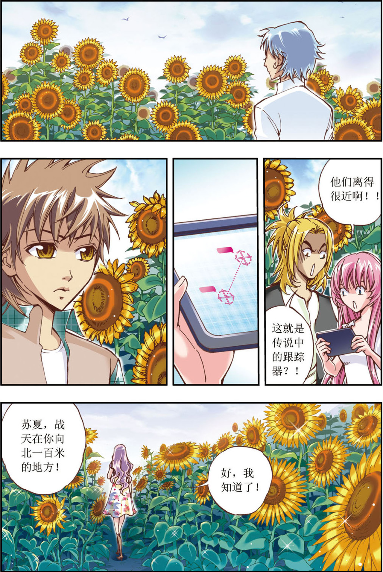 17