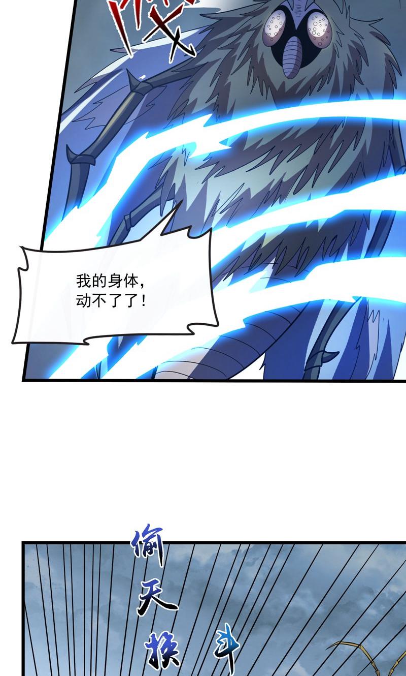 51