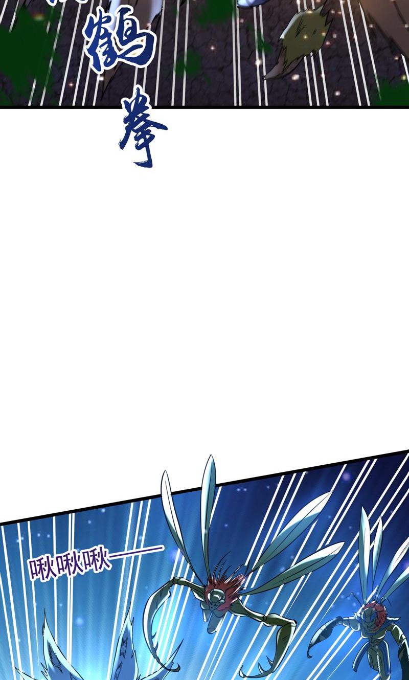56