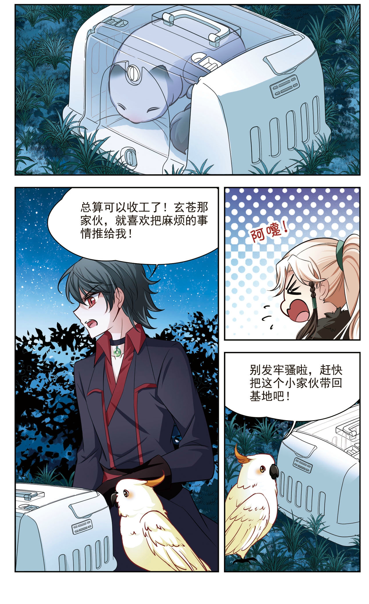 6