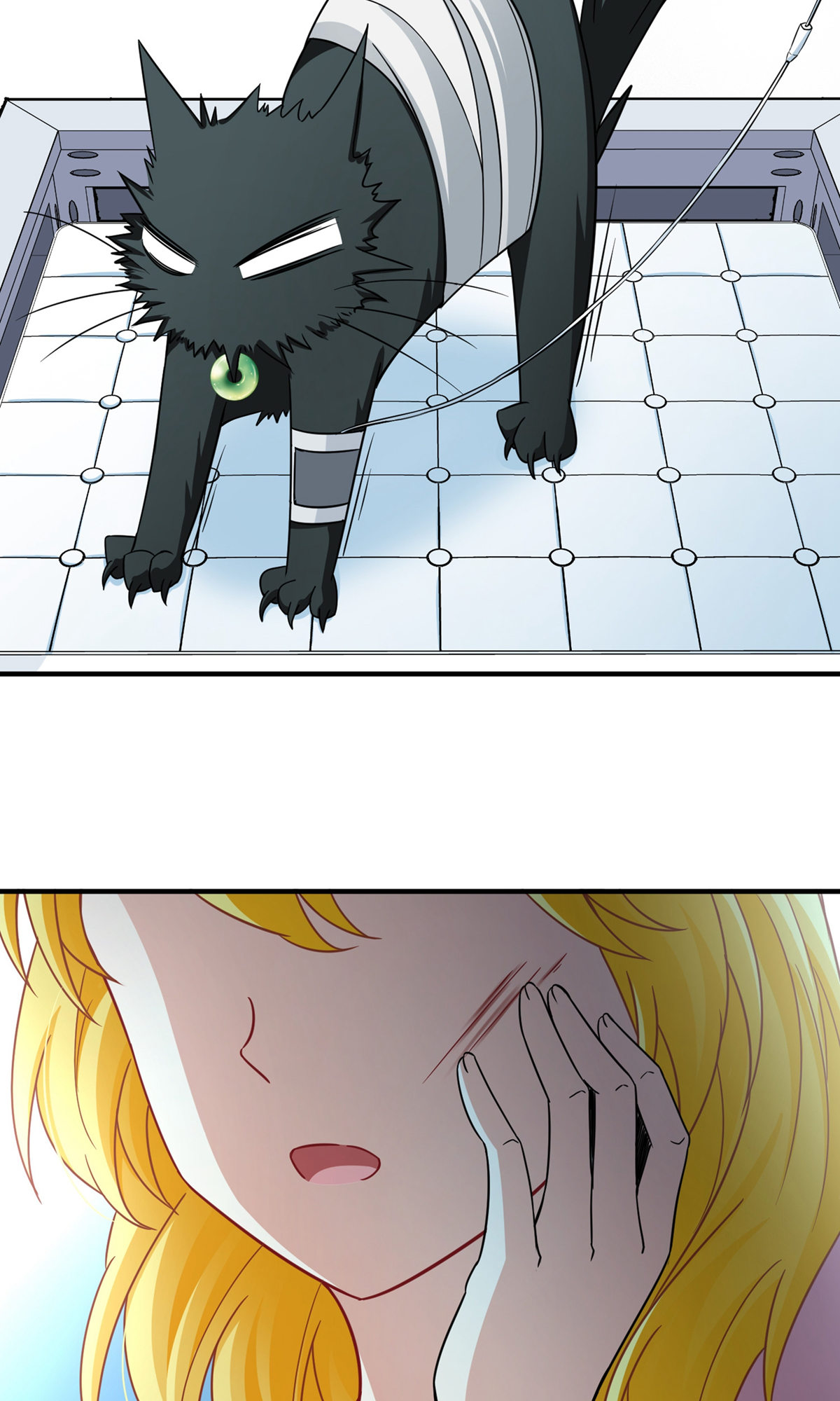 31