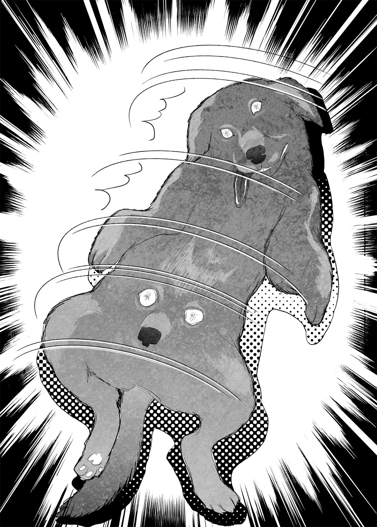 33