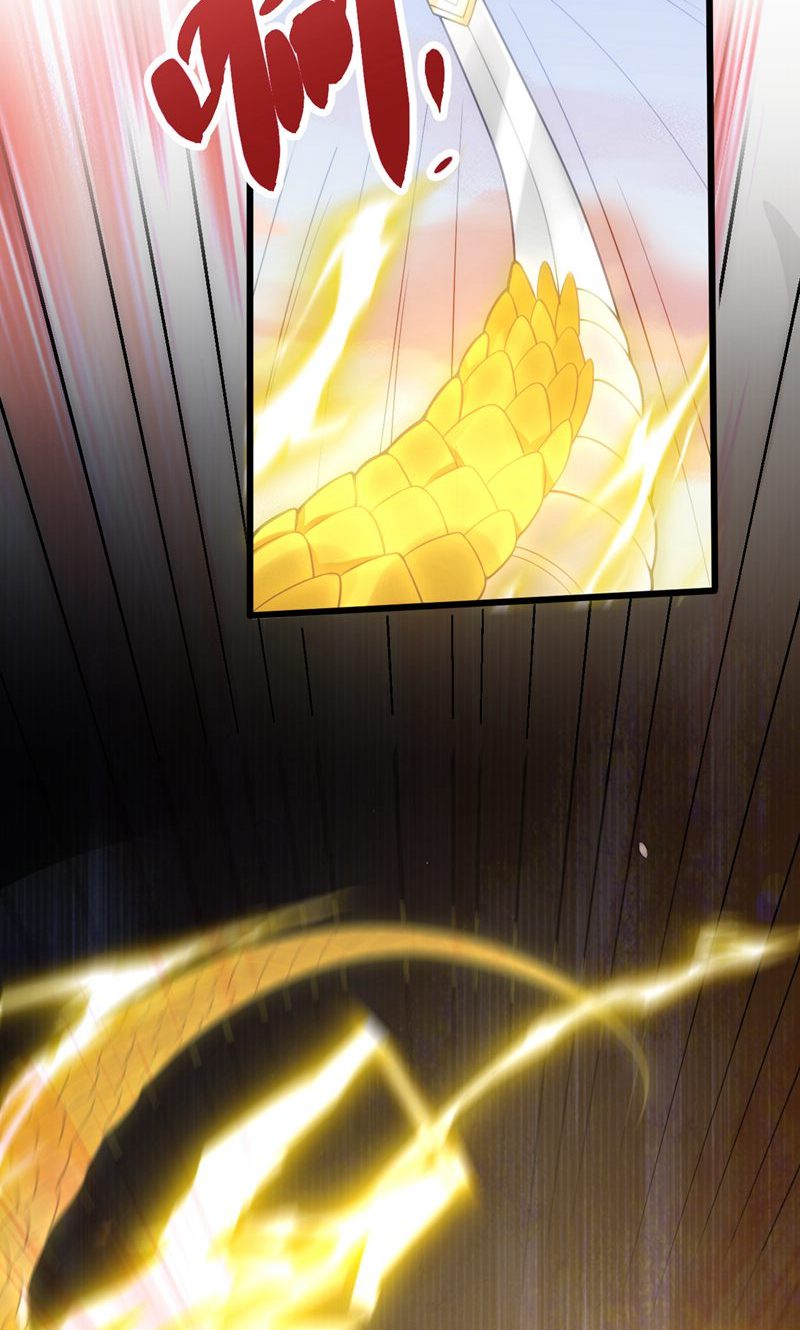 66