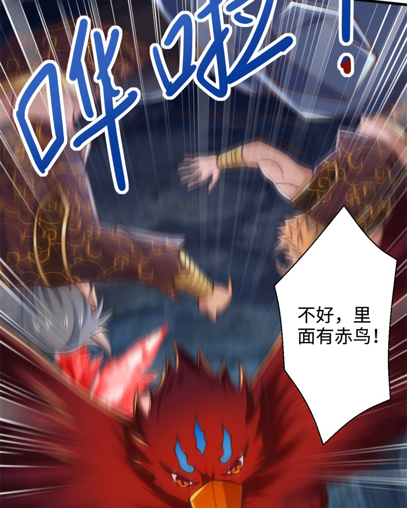 41