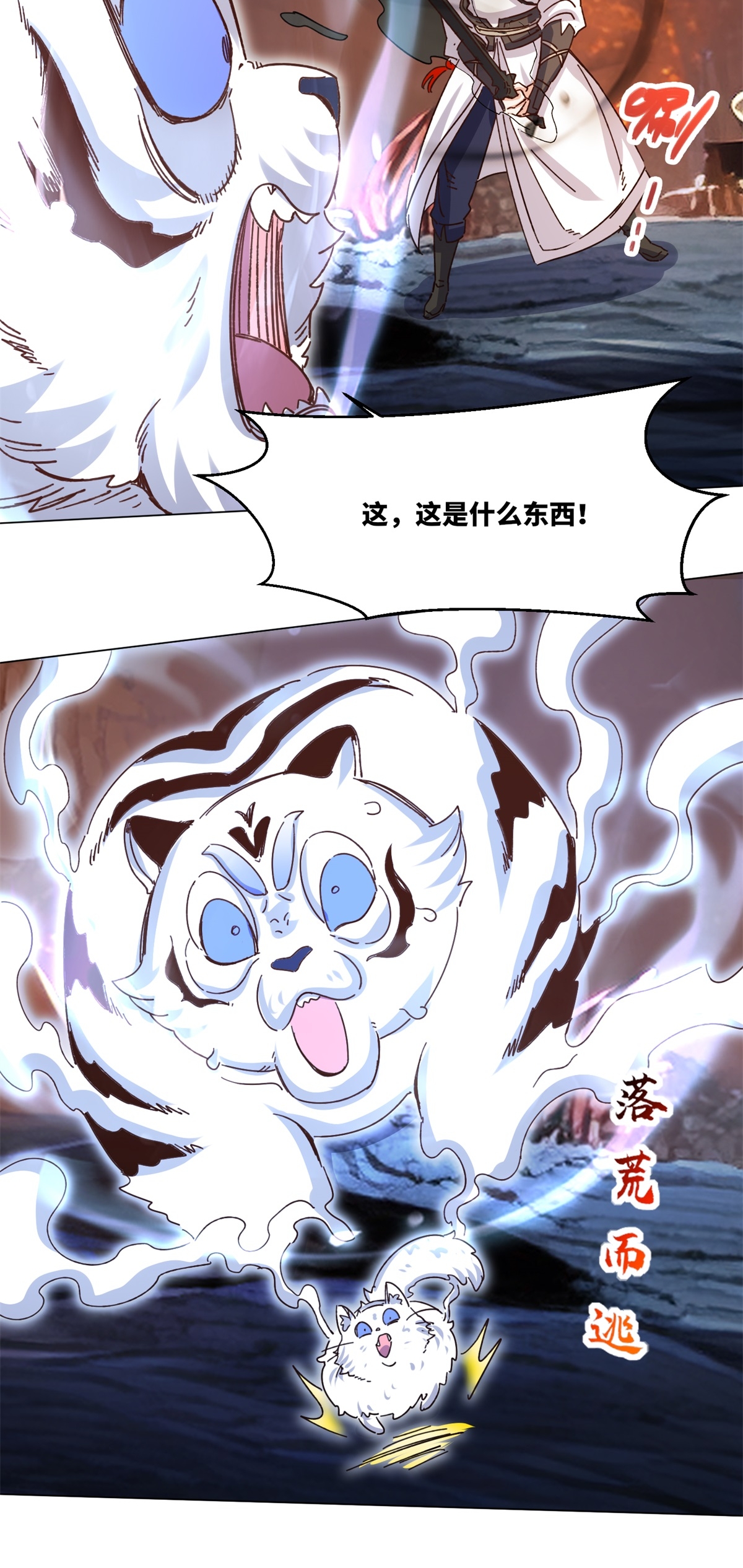 41
