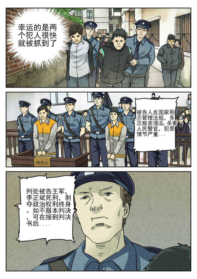 14.jpg