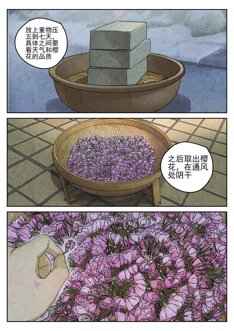12.jpg