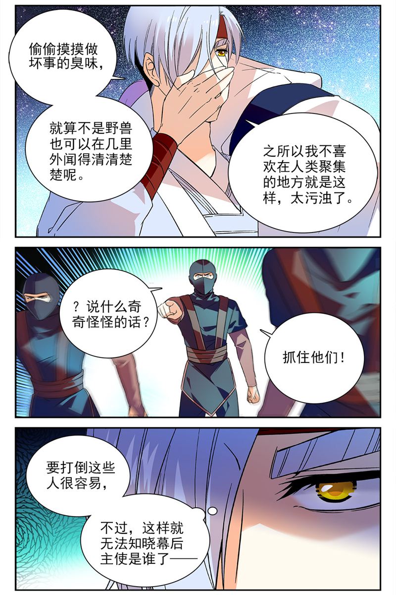 9.jpg