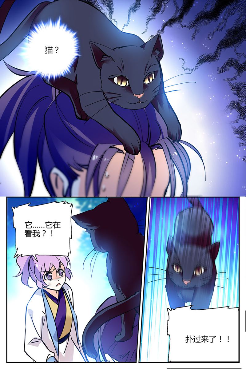 5.jpg