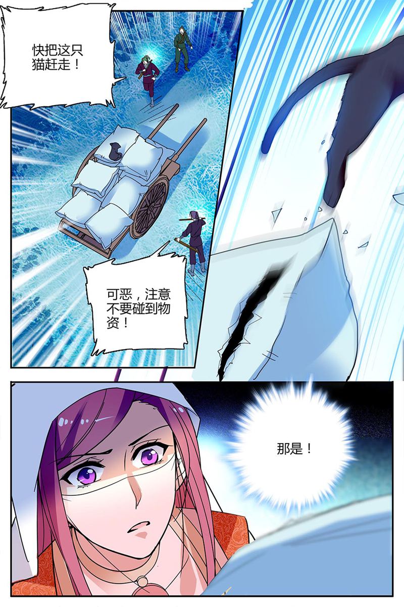 7.jpg