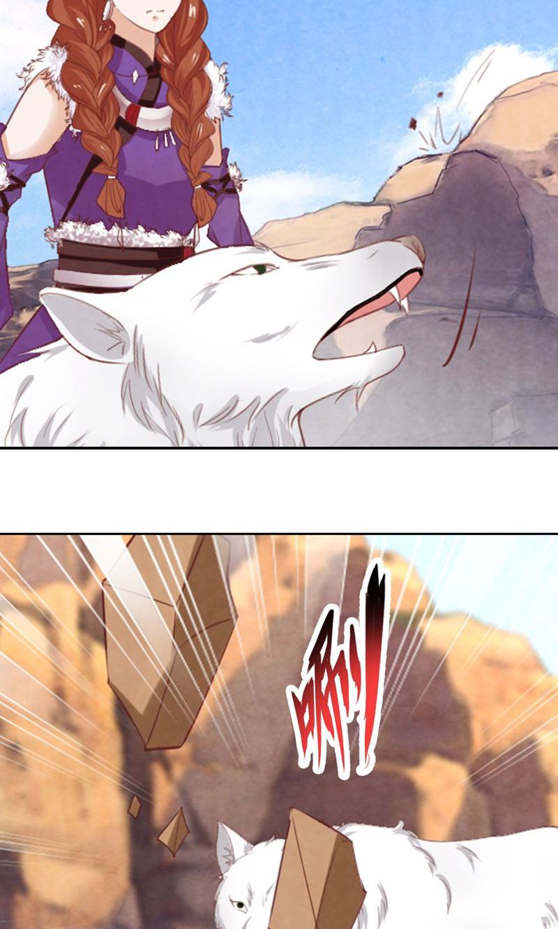 41