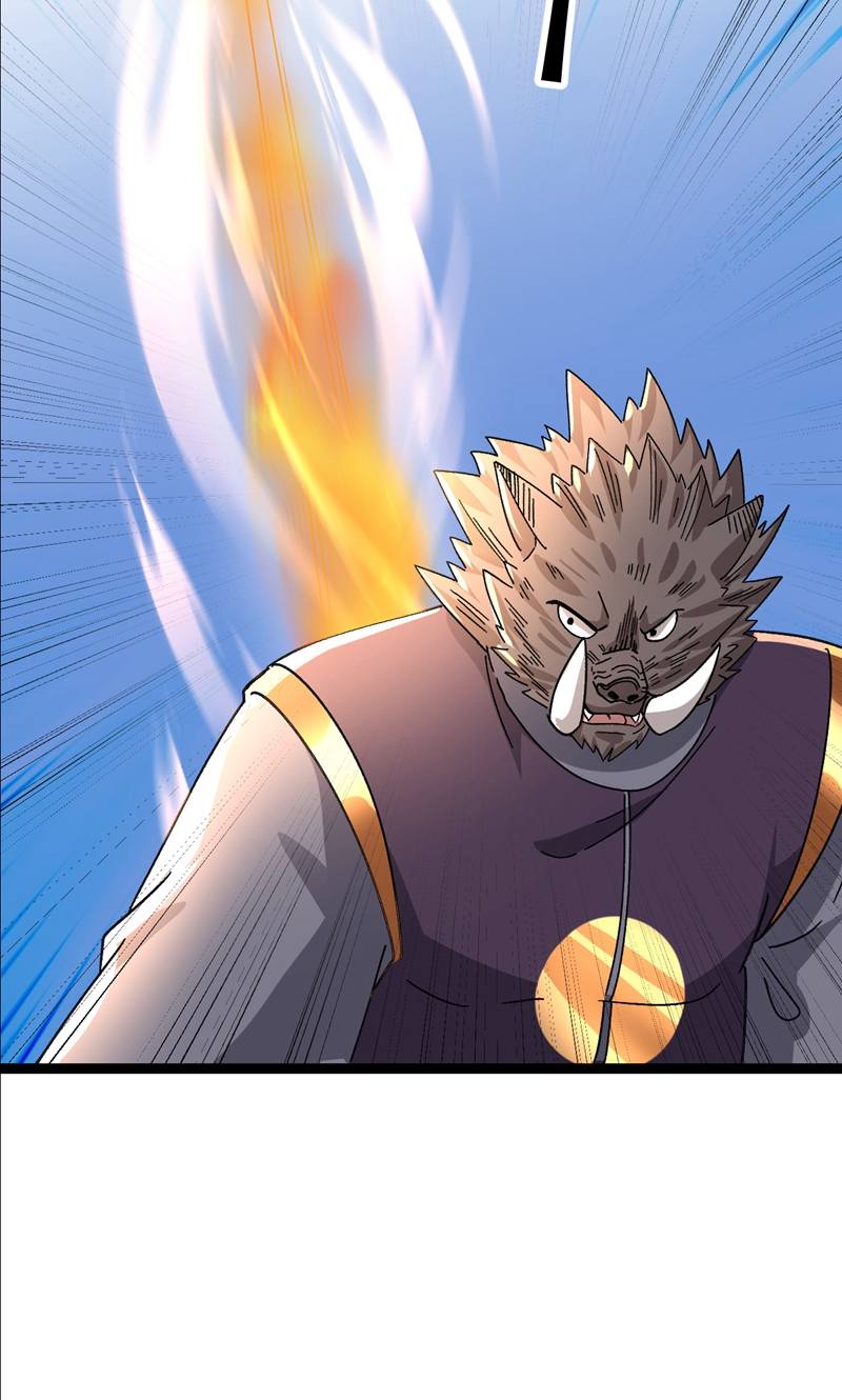 43