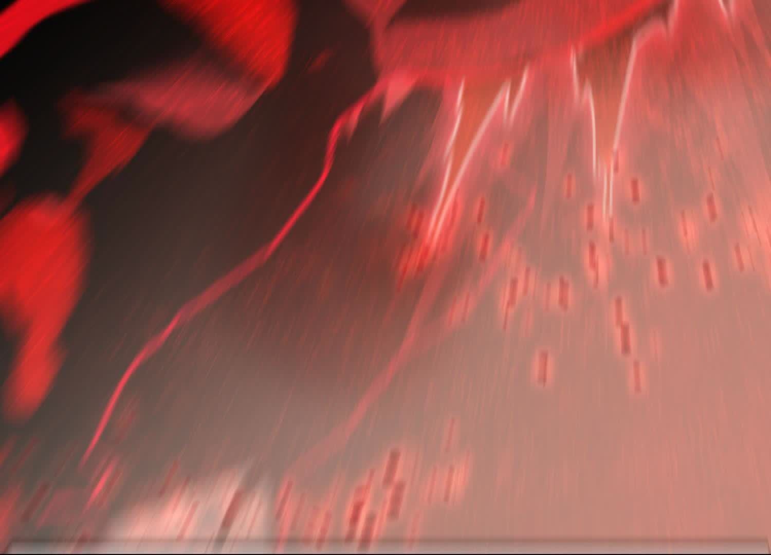 41