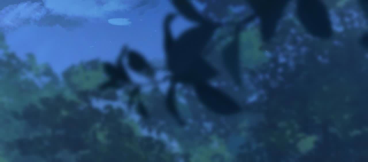 164