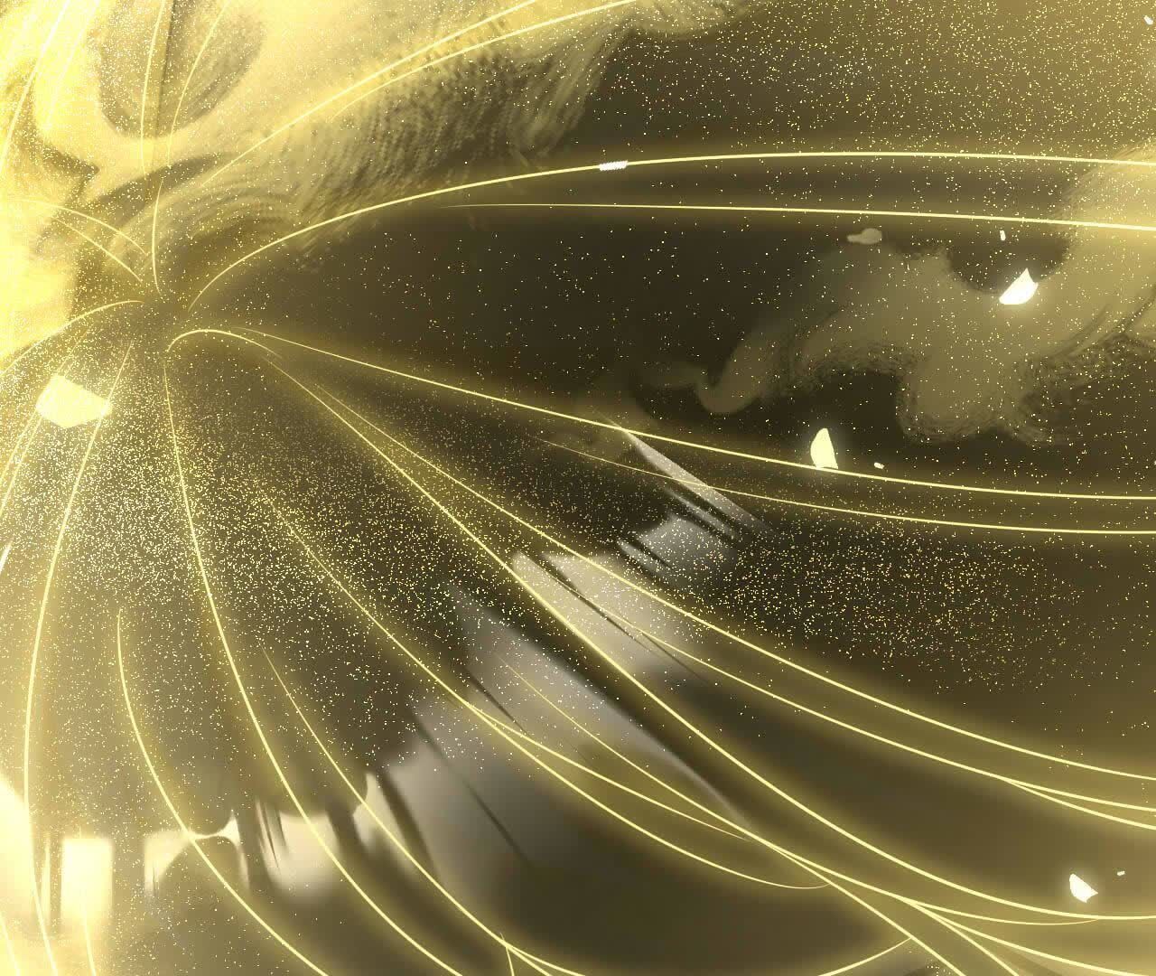 116