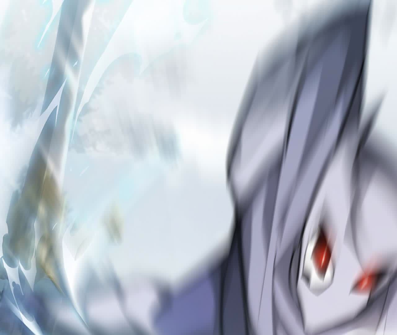 41