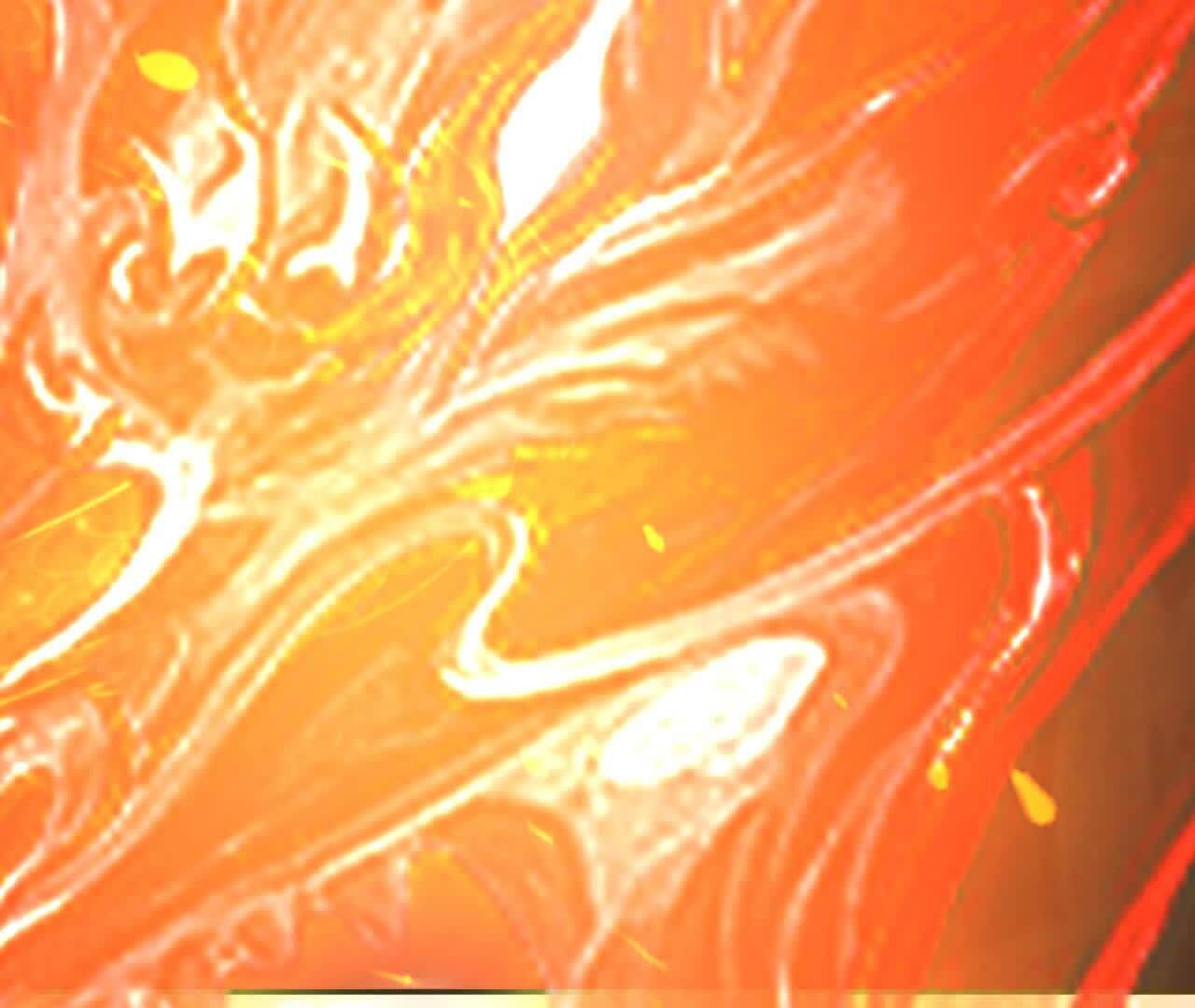 231