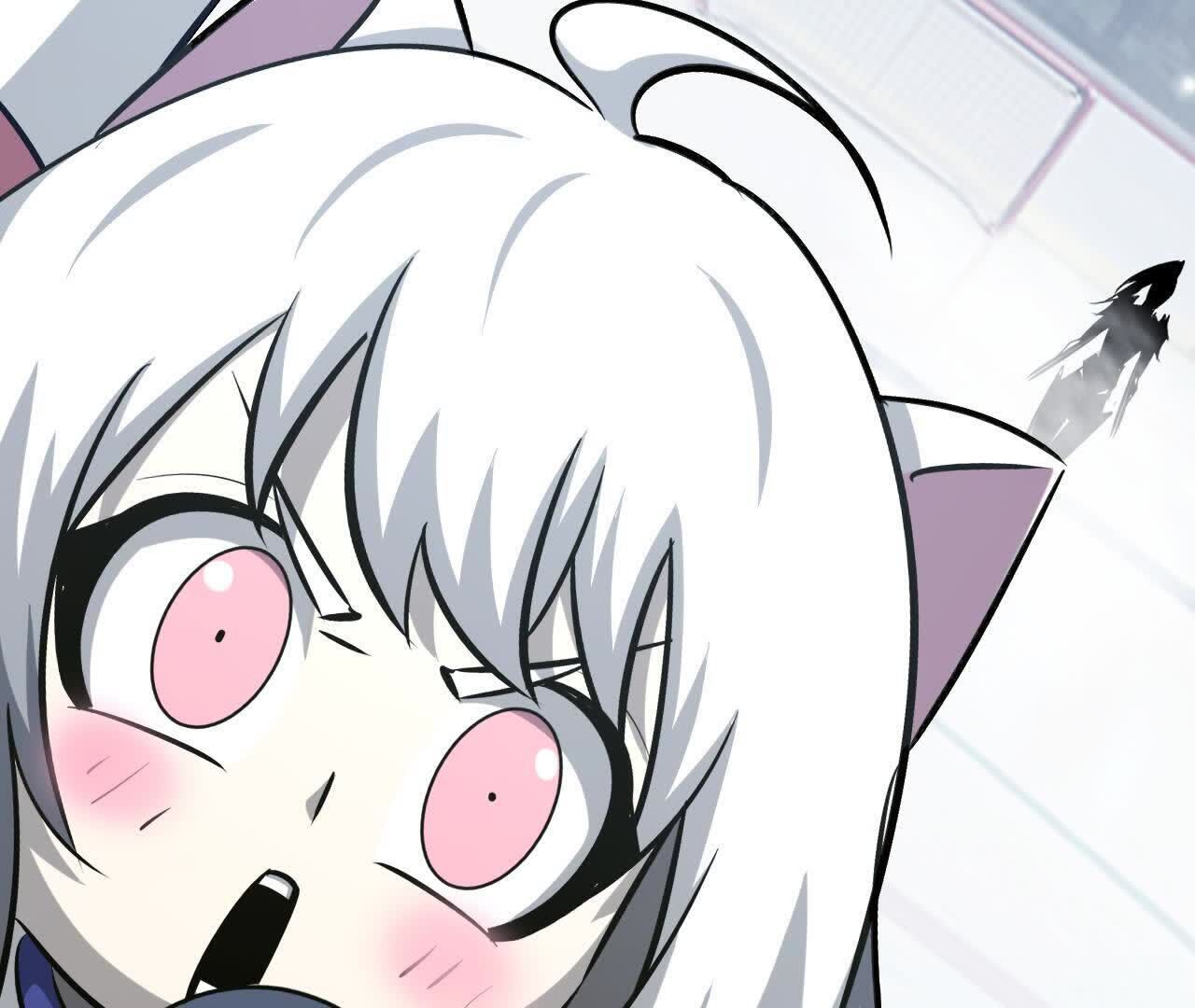 84