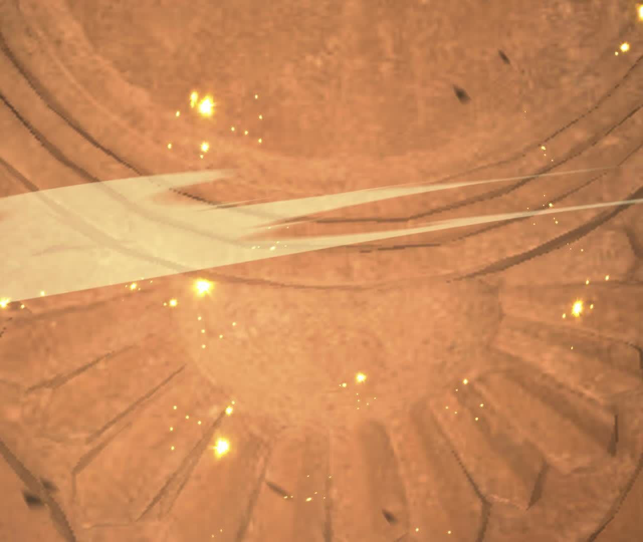54