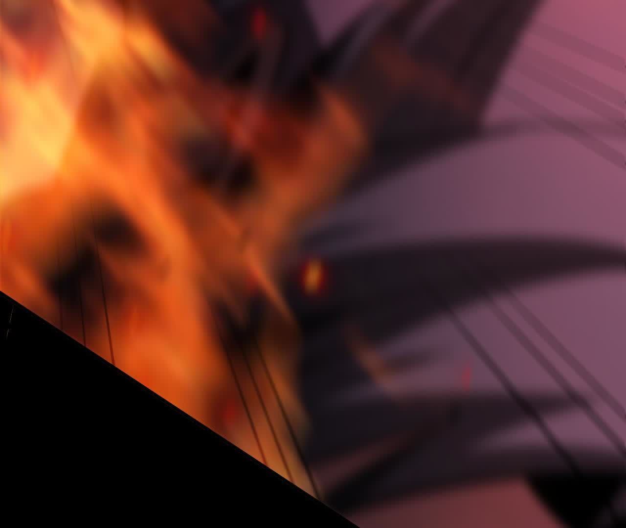 231
