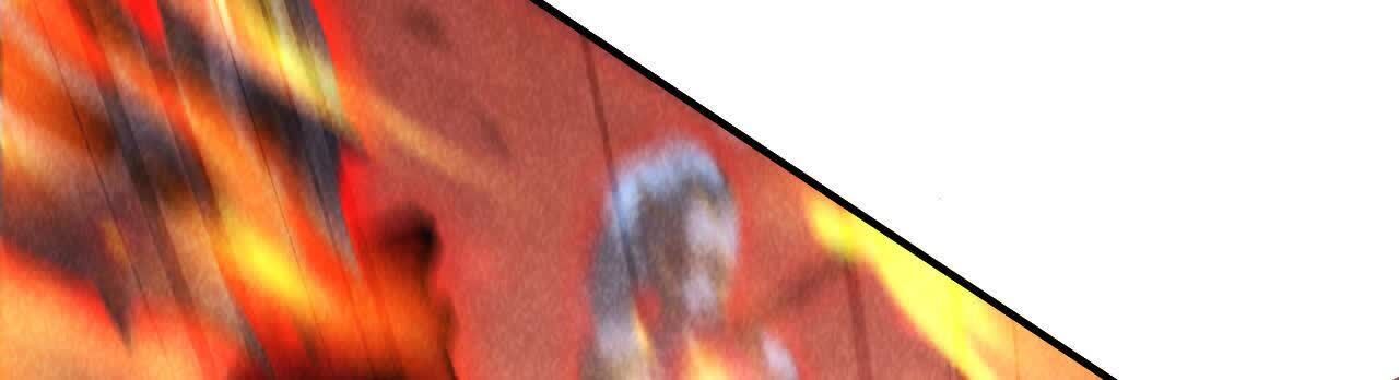 238