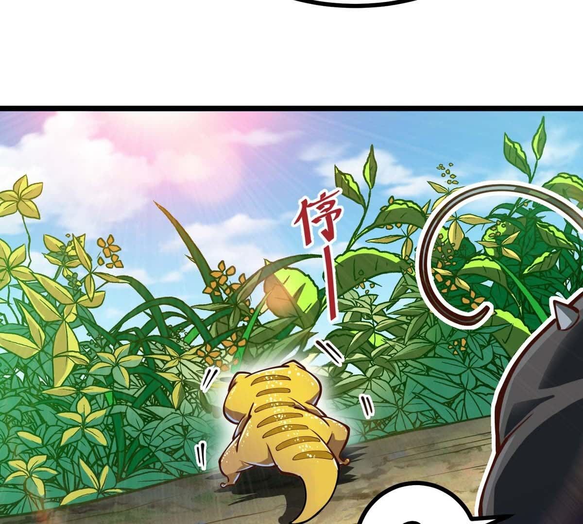 71