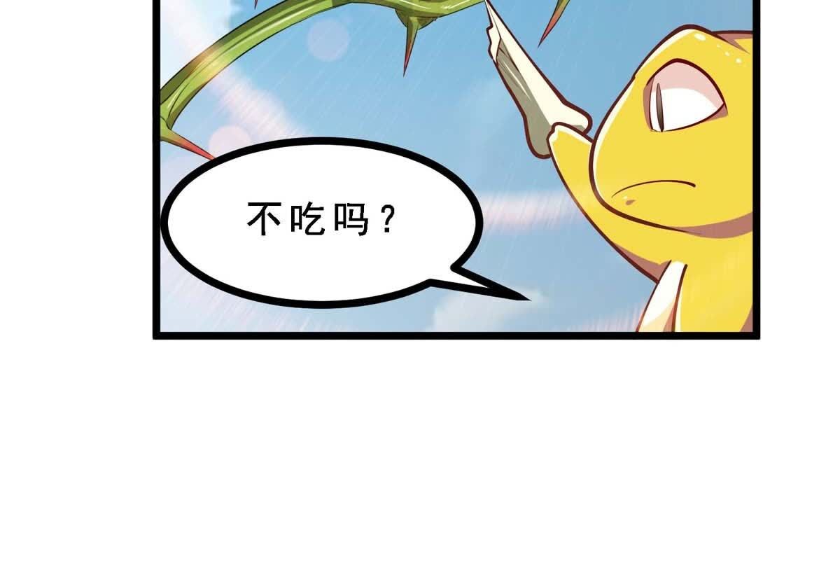 81