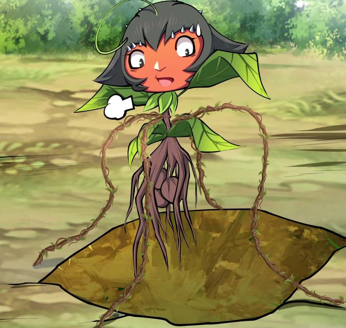6