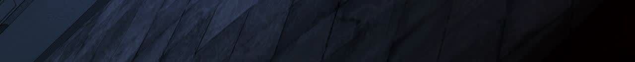 113