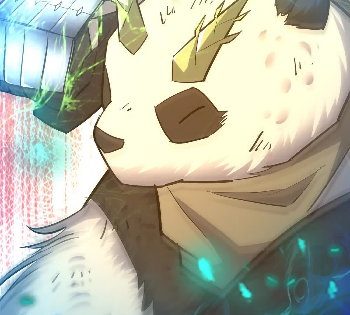 55