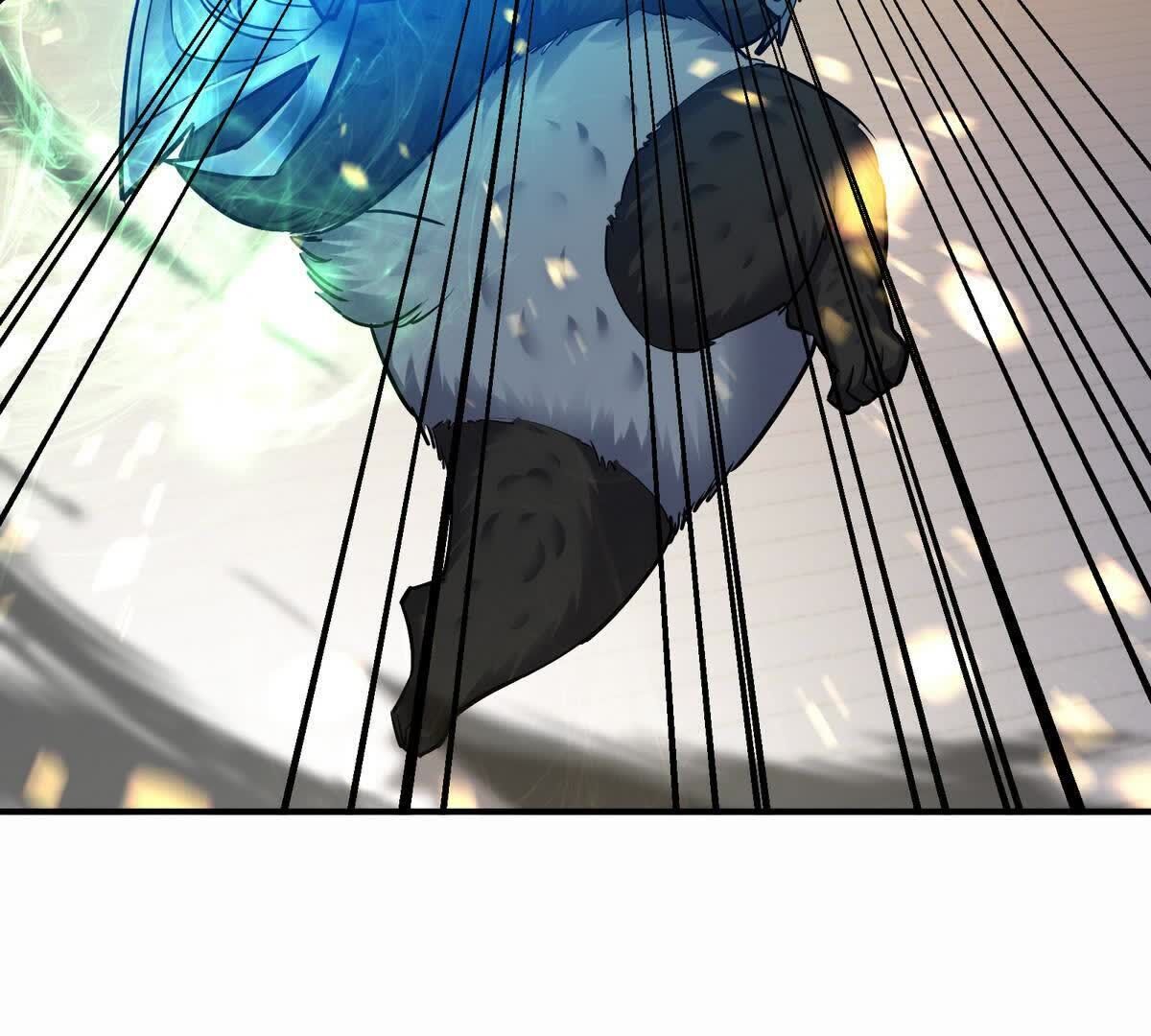 81