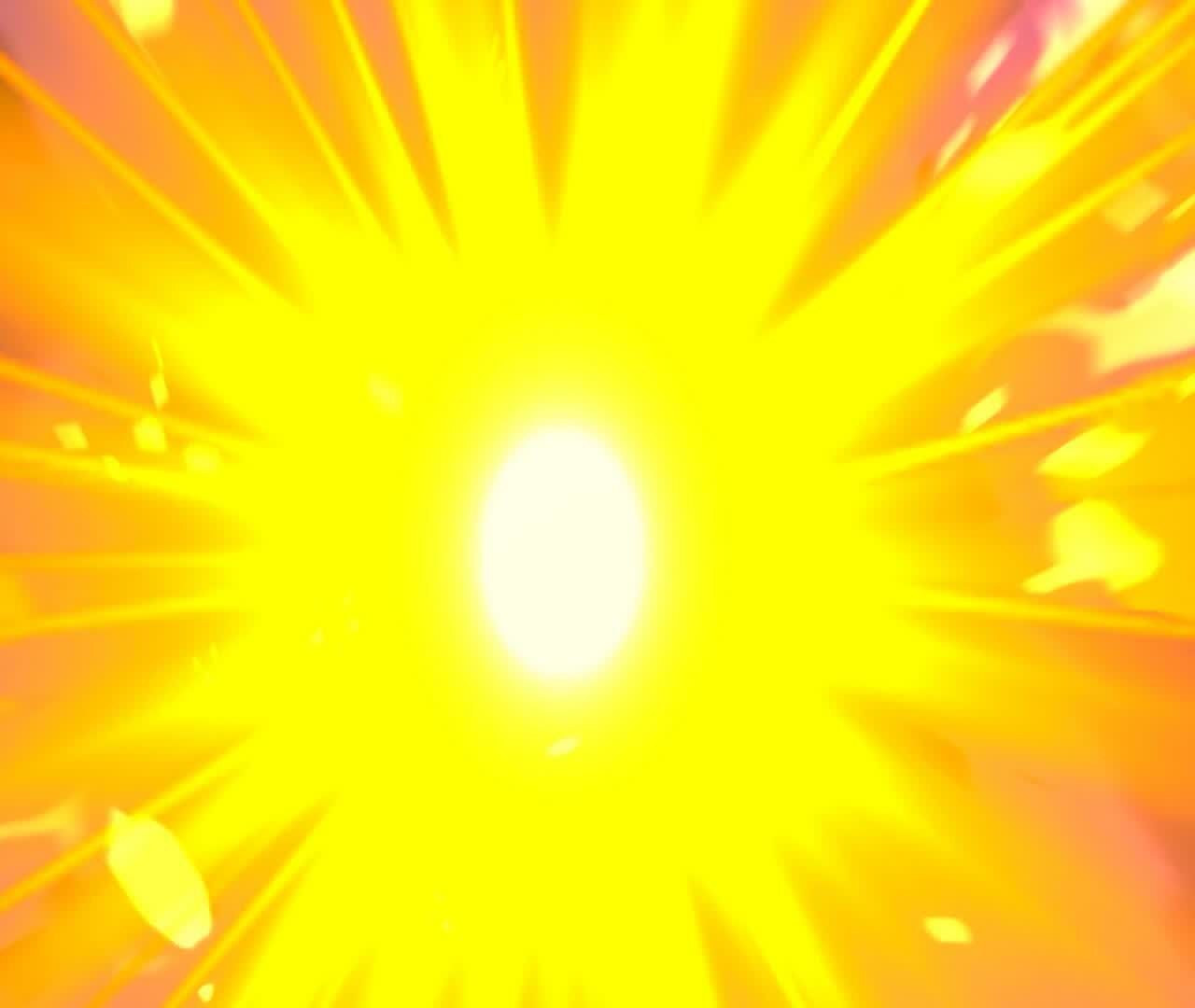 81
